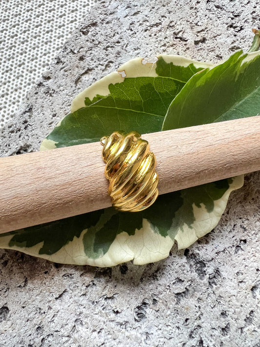 Anillo Concha